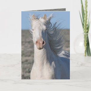 Wild Horse Greeting Card - Cassiel Runs Up