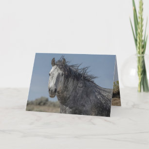 Wild Horse Greeting Card - Dollar Runs