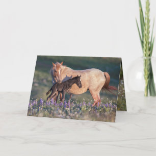 Wild Horse Greeting Card - Electra & Pandora