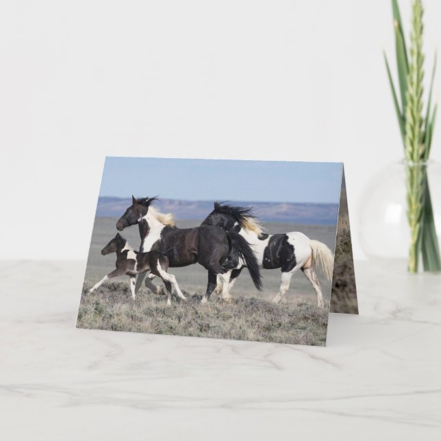 Wild Horse Greeting Card - Gadriel and His Family (Front)