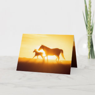 Wild Horse Greeting Card - Hope