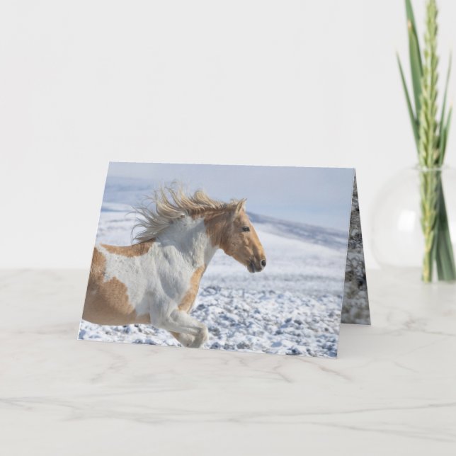 Wild Horse Greeting Card Tyr Runs (Front)