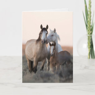 Wild Horse Greeting Card - Wild Family Before Dawn