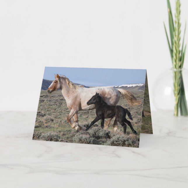 Wild Horse Greeting Card - Wild Mare and Foal Run  (Front)