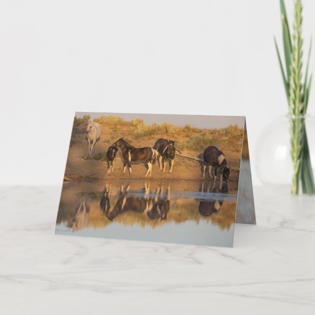 Wild Horse Greeting Cards - Wild Family at Oasis (Front)