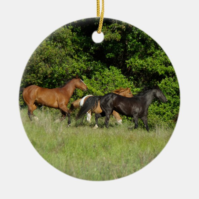 Wild Horse Herd Ceramic Ornament (Front)