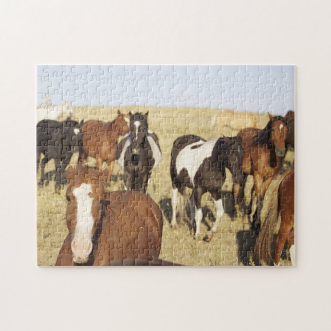 Wild Horse Jigsaw Puzzle (Horizontal)