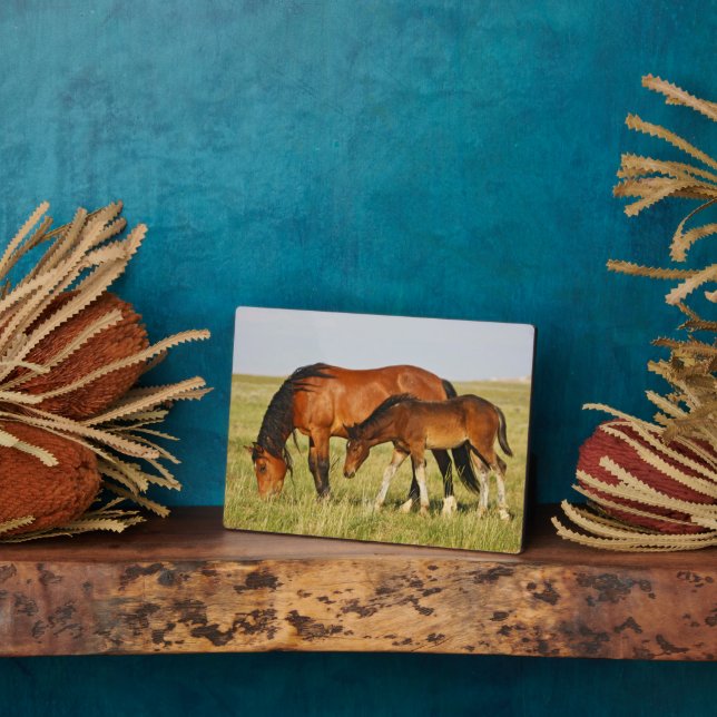 Wild Horse Mother and Colt Grazing Plaque (Side)