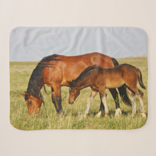 Wild Horse Mother and Colt Grazing Sherpa Blanket