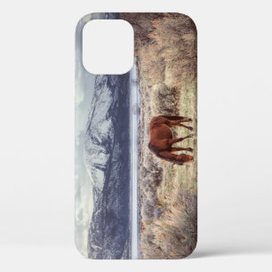 Wild horse: Nevada winter landscape. iPhone 12 Case