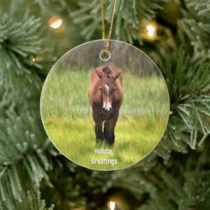 Wild Horse of Assateague Ceramic Ornament