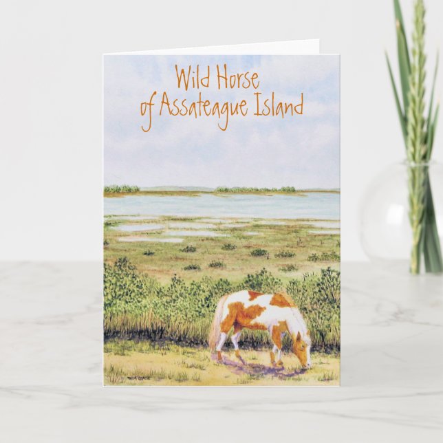 Wild Horse of Assateague Island Card (Front)