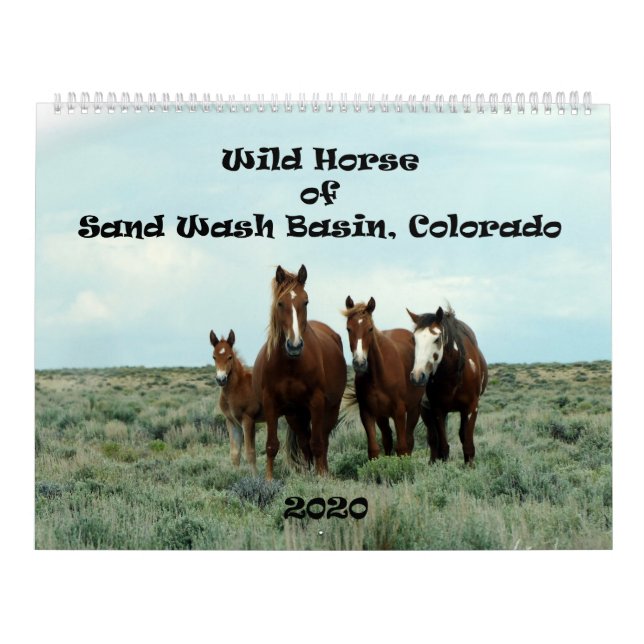 Wild Horse of Sand Wash Basin Calendar (Cover)