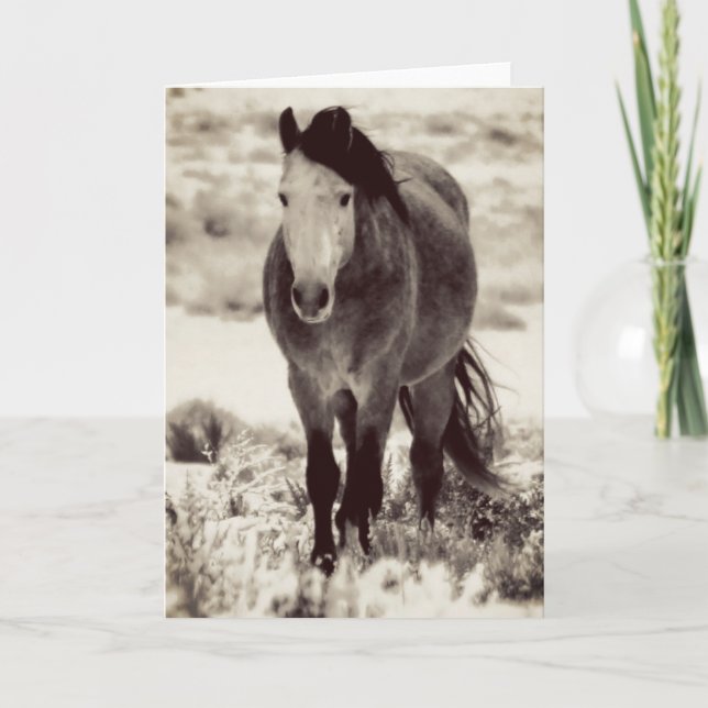 WILD HORSE OF UTAH Folded Greeting Card (Front)