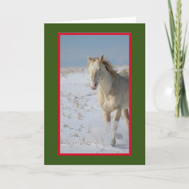 WILD HORSE OF UTAH IN THE SNOW CHRISTMAS Card (Front)