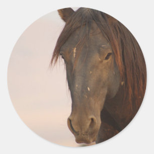WILD HORSE OF UTAH IN WESTERN DESERT CLASSIC ROUND STICKER