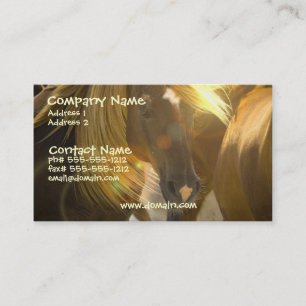 Wild Horse Photo Business Card