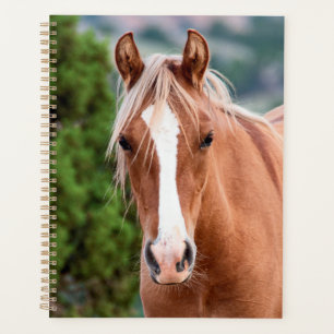 Wild Horse Planner