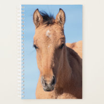 Wild Horse Planner