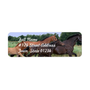 Wild Horse Return Address Mailing Label