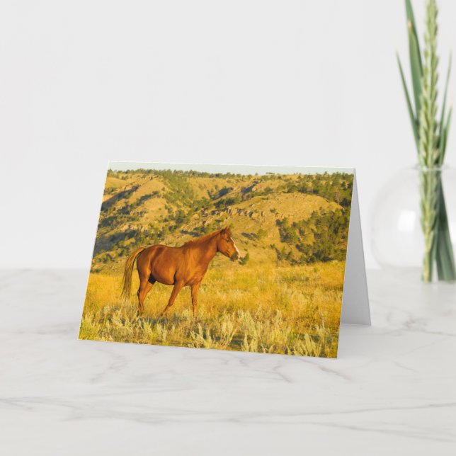 Wild Horse Sanctuary. Card (Front)