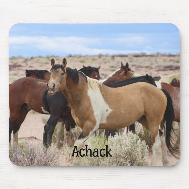 Wild horse smiles  mouse pad (Front)