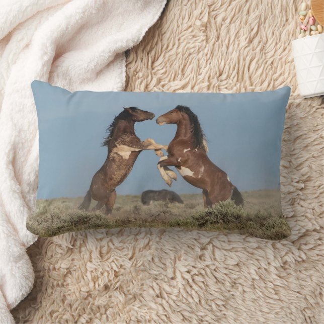 Wild Horse Stallions Fighting Lumbar Cushion (Blanket)