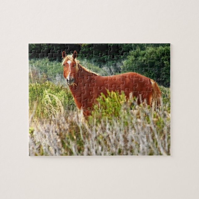 Wild Horse Staredown Jigsaw Puzzle (Horizontal)