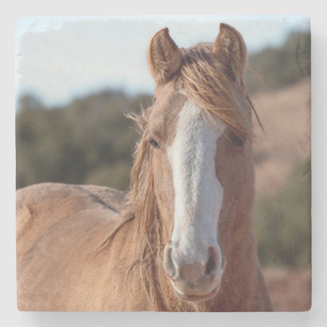Wild Horse Stone Coaster (Front)