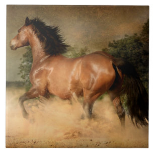 wild horse tile