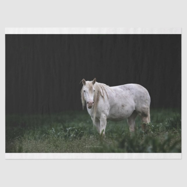 Wild Horse Tissue Paper (Front)