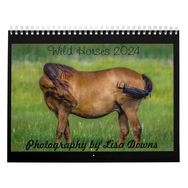 Wild Horses 2024 Calendar (Cover)