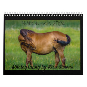 Wild Horses 2024 Calendar