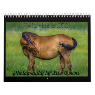 Wild Horses 2024 Calendar
