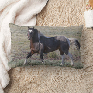 Wild Horses After a Dust Bath Lumbar Cushion