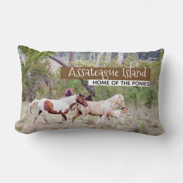 Wild Horses - Assateague Island Lumbar Cushion (Front)