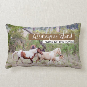 Wild Horses - Assateague Island Lumbar Cushion