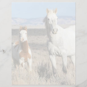 Wild Horses at Home in the Sandwash Basin