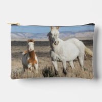 Wild Horses at Home in the Sandwash Basin