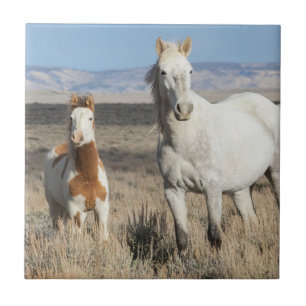 Wild Horses at Home in the Sandwash Basin Ceramic Tile
