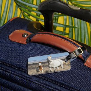 Wild Horses at Home in the Sandwash Basin Luggage Tag