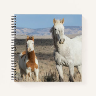 Wild Horses at Home in the Sandwash Basin Notebook