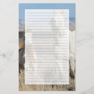 Wild Horses at Home in the Sandwash Basin Stationery