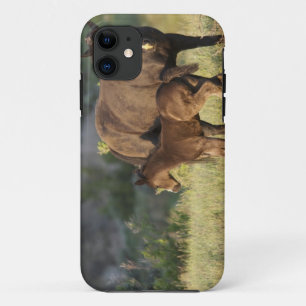 Wild Horses at Theodore Roosevelt National Park iPhone 11 Case