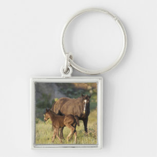 Wild Horses at Theodore Roosevelt National Park Key Ring