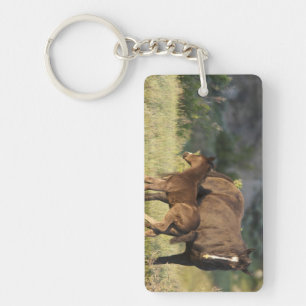 Wild Horses at Theodore Roosevelt National Park Key Ring