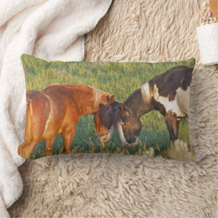 Wild Horses at Theodore Roosevelt National Park Lumbar Cushion