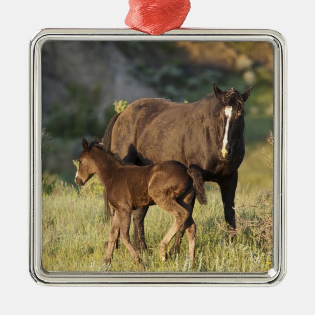 Wild Horses at Theodore Roosevelt National Park Metal Ornament (Front)