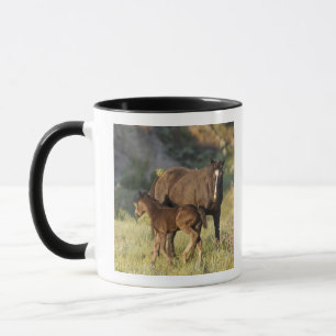 Wild Horses at Theodore Roosevelt National Park Mug