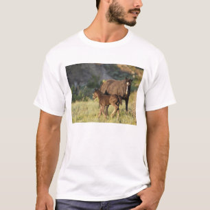 Wild Horses at Theodore Roosevelt National Park T-Shirt